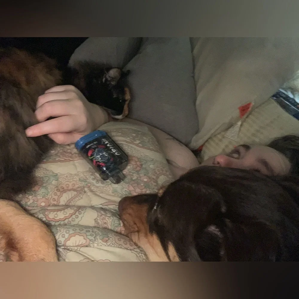 Still here! - Picture 9 of 12